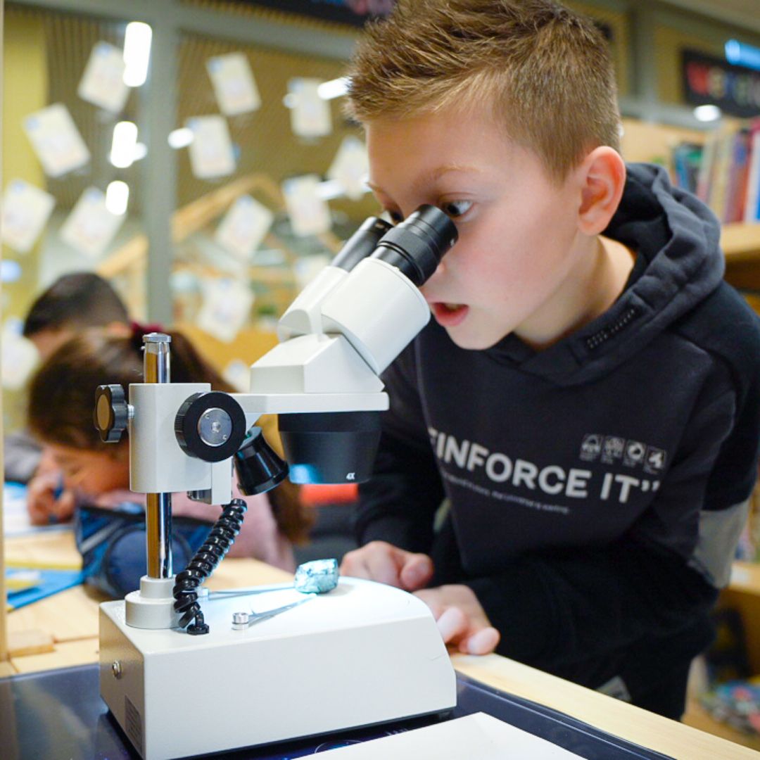 Training onderzoekend leren